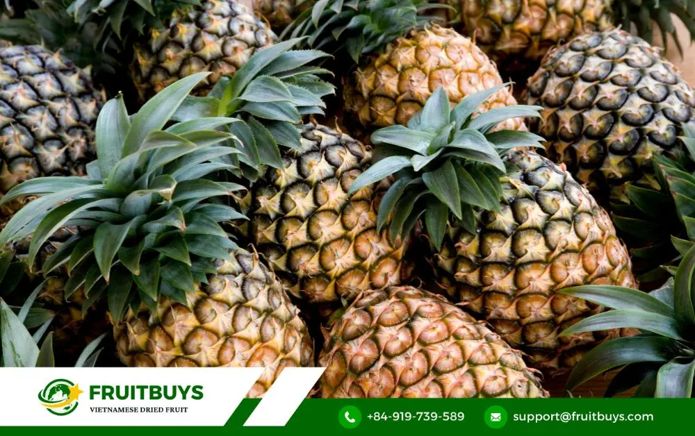 fruitbuys vietnam pineapple Pineapple