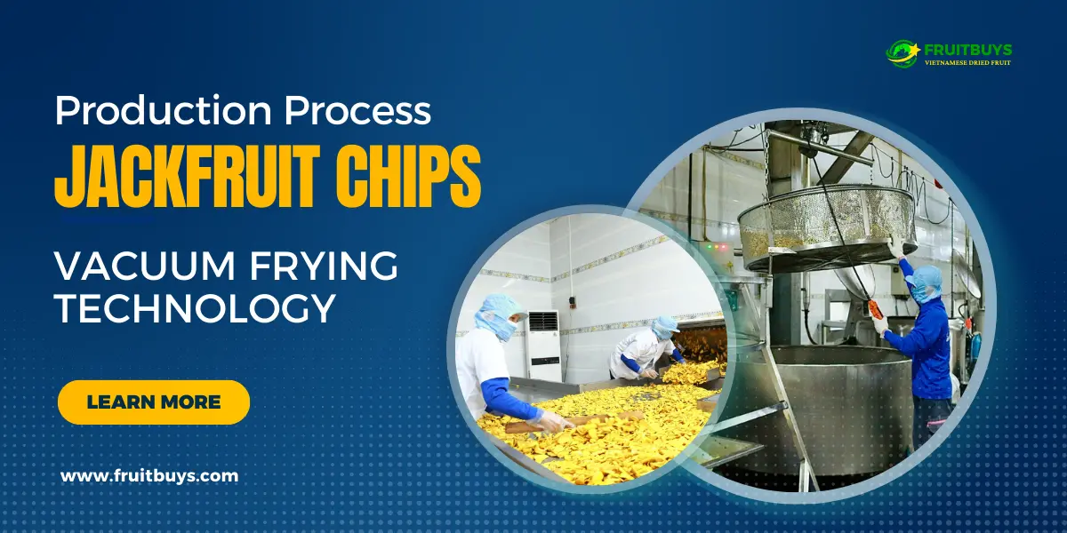 Production Process Of Jackfruit Chips Using Vacuum Frying Technology At FruitBuys Vietnam FruitBuys Vietnam Production Process Of Jackfruit Chips Using Vacuum Frying Technology