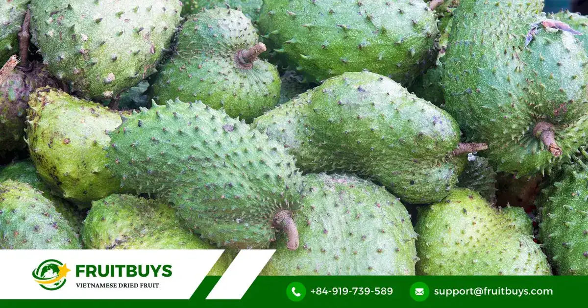 FruitBuys Vietnam Soursop (1)