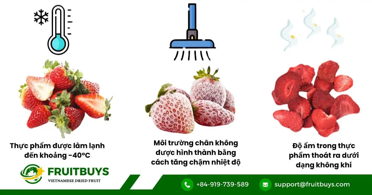 fruitbuys vietnam understanding the freeze drying process Understanding The Freeze Drying Process