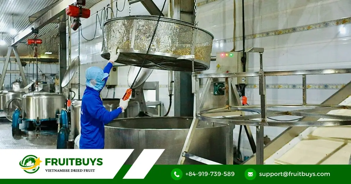 FruitBuys Vietnam Vacuum Frying