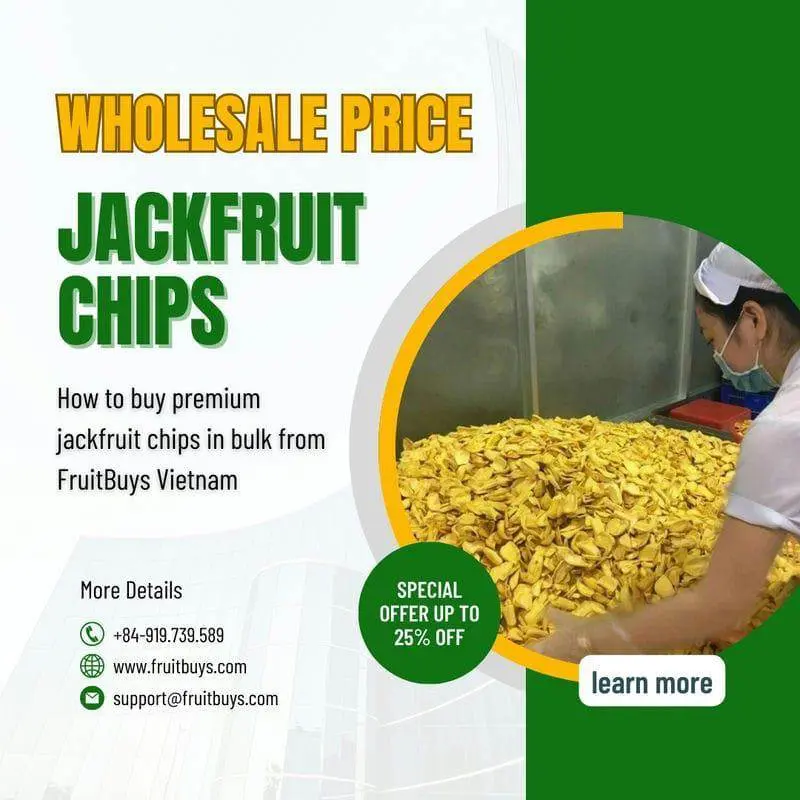 Jackfruit Chips Wholesale Price A Guide For Buyers FruitBuys Vietnam Jackfruit Chips Wholesale Price 231011